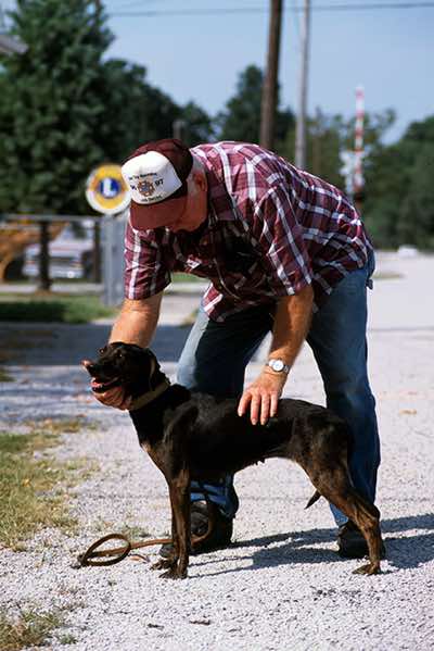 Treeing Tennessee brindle with his owner at a railroad crossing, Missouri.